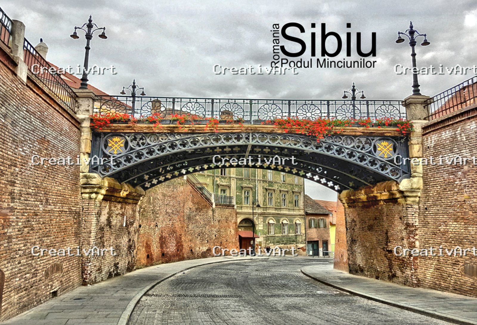 Selecție CreativArt de fotografii magnetice pentru parteneri B2B