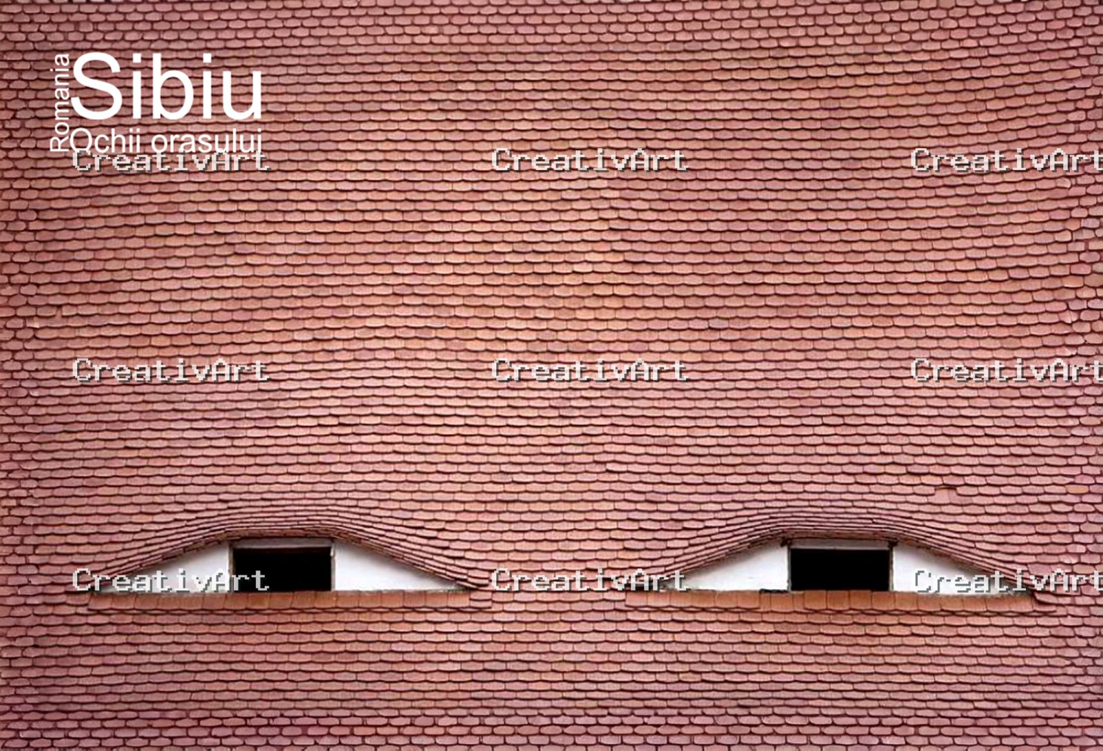 Selecție CreativArt de fotografii magnetice pentru parteneri B2B